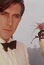 Bryan Ferry in Roxy Music: Avalon (1982)