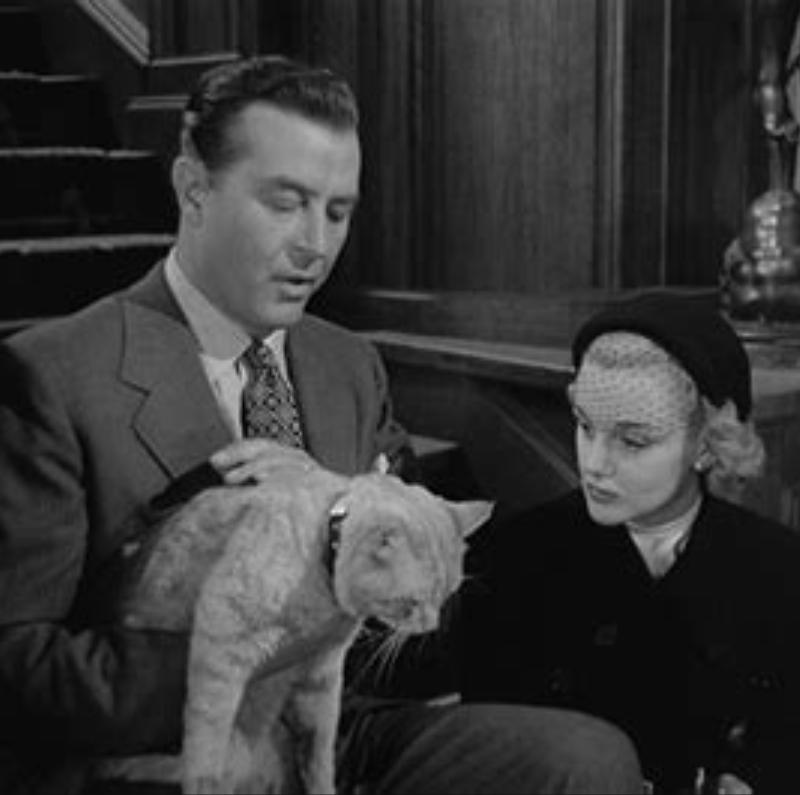 Ray Milland, Jan Sterling, and Orangey in Rhubarb (1951)