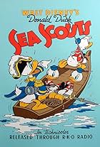 Sea Scouts