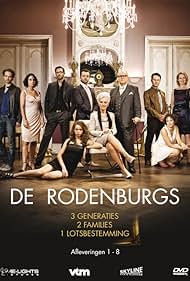 Wim Danckaert, Gilda De Bal, Pieter Embrechts, Hilde Heijnen, Mathias Sercu, Mike Verdrengh, Marie Vinck, Hein Blondeel, Lien De Graeve, and Daphne Wellens in De Rodenburgs (2009)