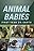 Animal Babies: First Year on Earth