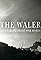 The Waler: Australia's Great War Horse's primary photo