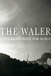 Primary photo for The Waler: Australia's Great War Horse