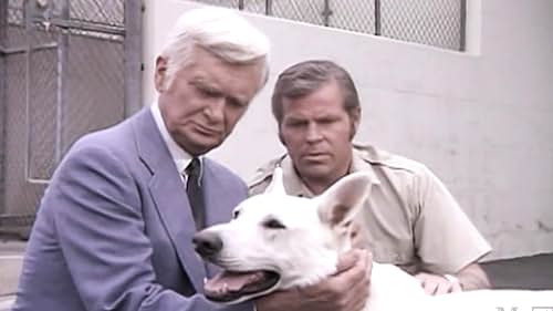 Beware the Dog (1975)