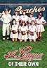 A League of Their Own (TV Series 1993) Poster