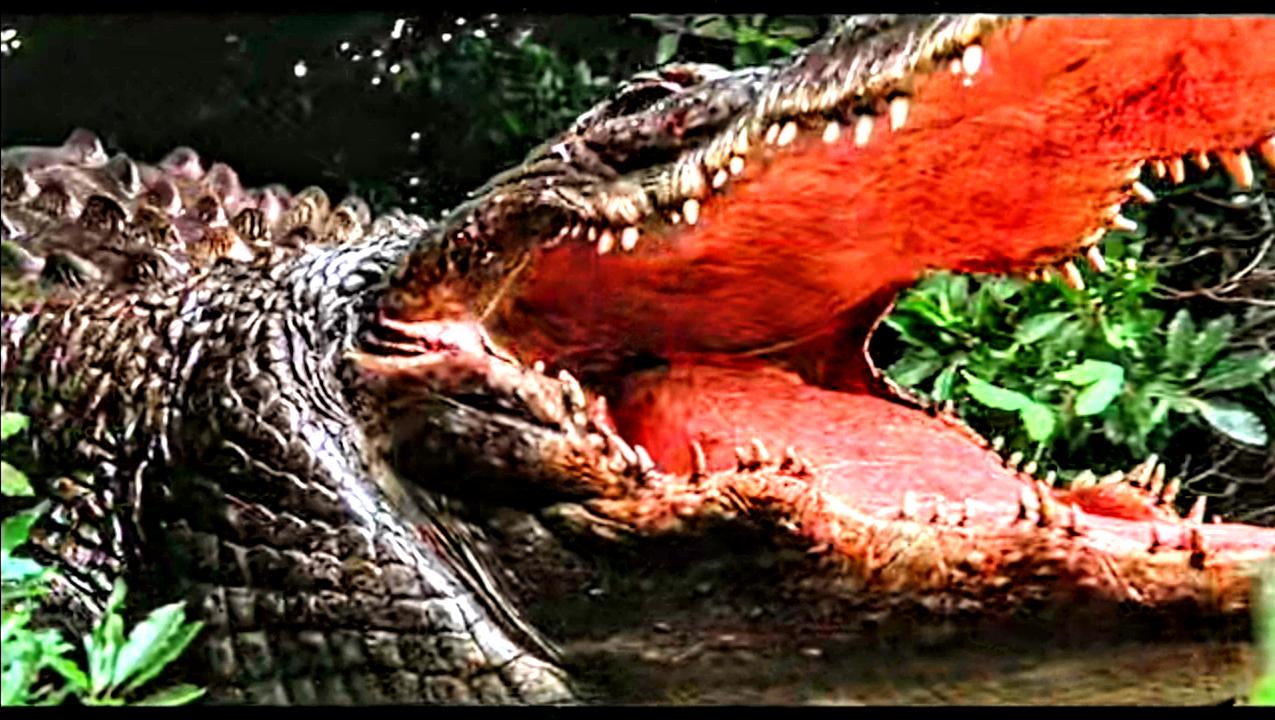 Alligator (1980)