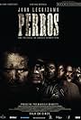 Perros (2016)