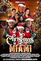 Christmas in Miami