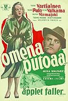 Omena putoaa