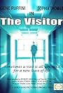 The Visitor (2011)