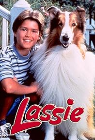 Primary photo for Lassie