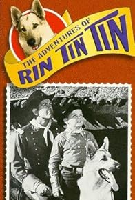 Primary photo for The Adventures of Rin Tin Tin