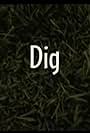 Dig (2007)