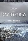 David Gray: Life in Slow Motion (2005)