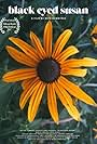 Black Eyed Susan (2017)