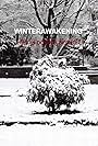 Winterawakening (2011)