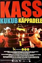 Kass kukub käppadele