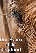 The Heart of the Elephant (2019)