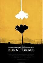 Burnt Grass