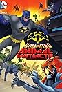 Batman Unlimited: Animal Instincts