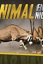 Animal Fight Night (2013)