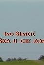 Puska u cik zore (1981)