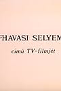 Havasi selyemfiú (1981)