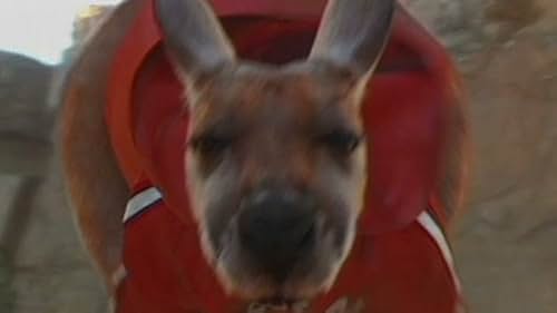 Kangaroo Jack Scene: I Got The Money