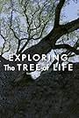 Exploring 'The Tree of Life' (2011)