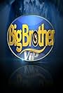 Big Brother VIP (2013)