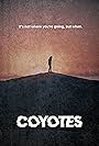 Coyotes