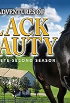 The New Adventures of Black Beauty