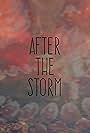 After the Storm (2016)