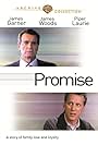 Promise (1986)