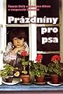 Prázdniny pro psa (1981)