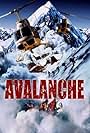 Nature Unleashed: Avalanche (2004)