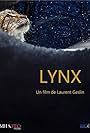 Lynx (2021)