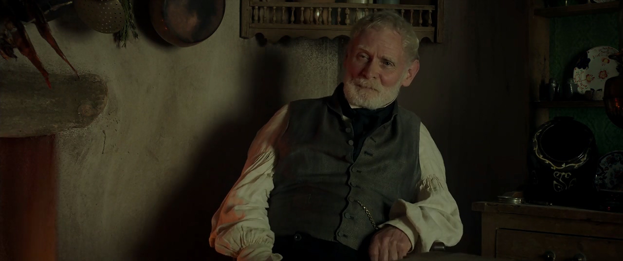 Karl Johnson in Mr. Turner (2014)