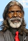 David Gulpilil