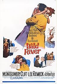 Wild River (1960)