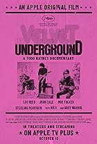 Ban nhạc the Velvet Underground