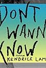 Maroon 5: Don't Wanna Know (2016)