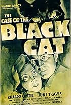 The Case of the Black Cat