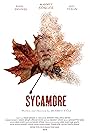 Sycamore (2020)