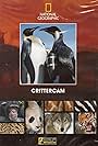 Crittercam (2003)