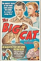 The Big Cat