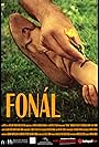 Fonál (2016)