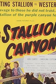 Primary photo for Stallion Canyon