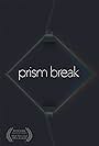 Prism Break (2017)