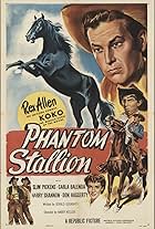 Phantom Stallion